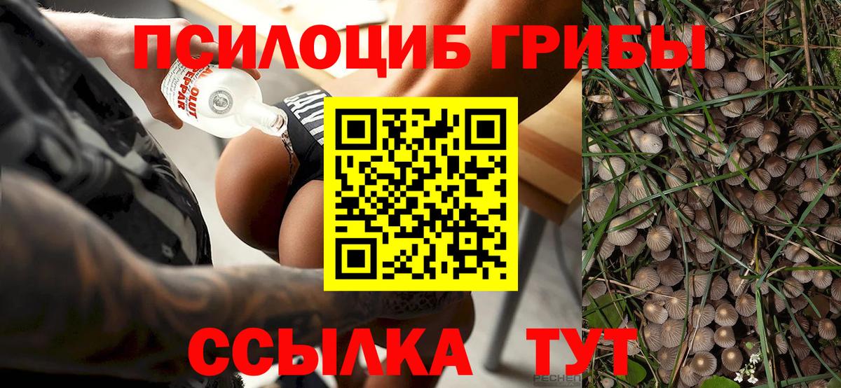 Галлюциногенные грибы мухоморы Черногорск